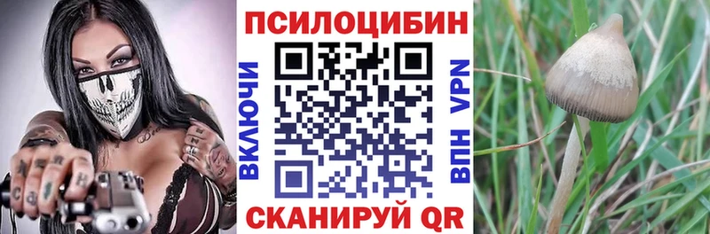 hydra ссылка Тюкалинск Галлюциногенные грибы мицелий